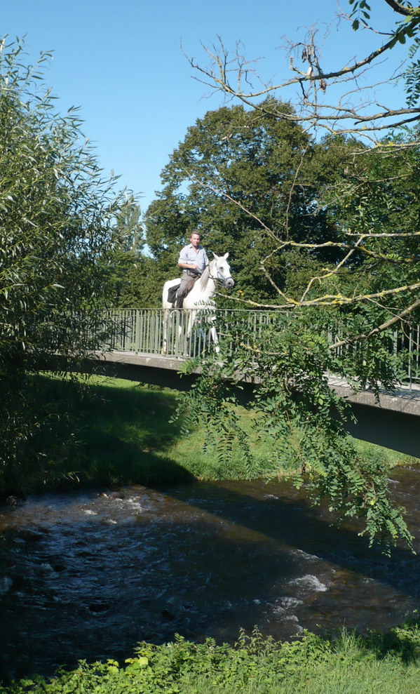 Heimkehr