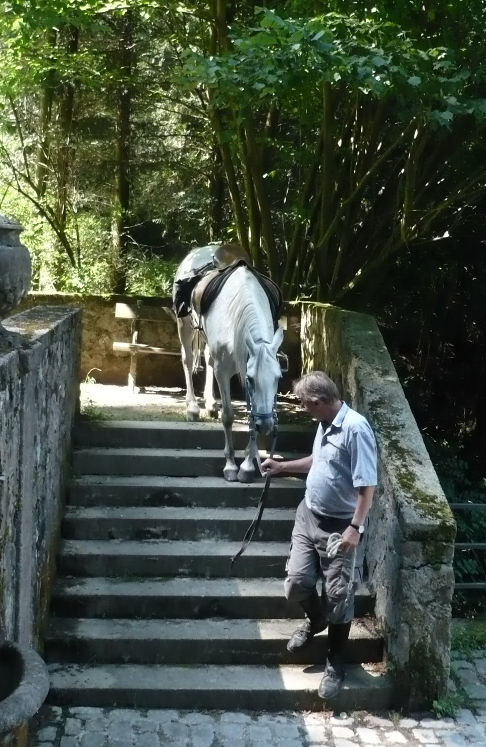 Blöde Treppen