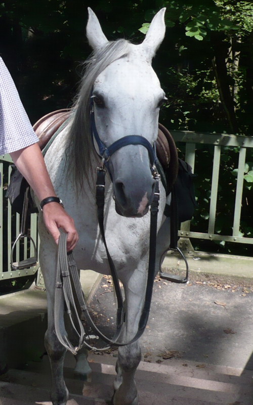 Treppauf
