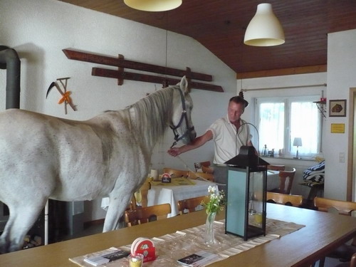 Um die Tafel