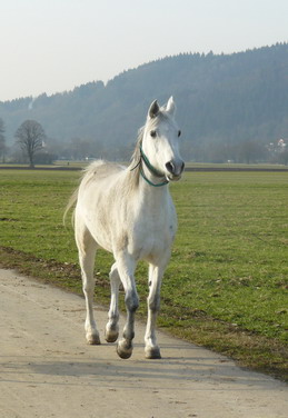 Ausflug