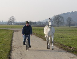 Fahrradtour und Gute Rachepläne